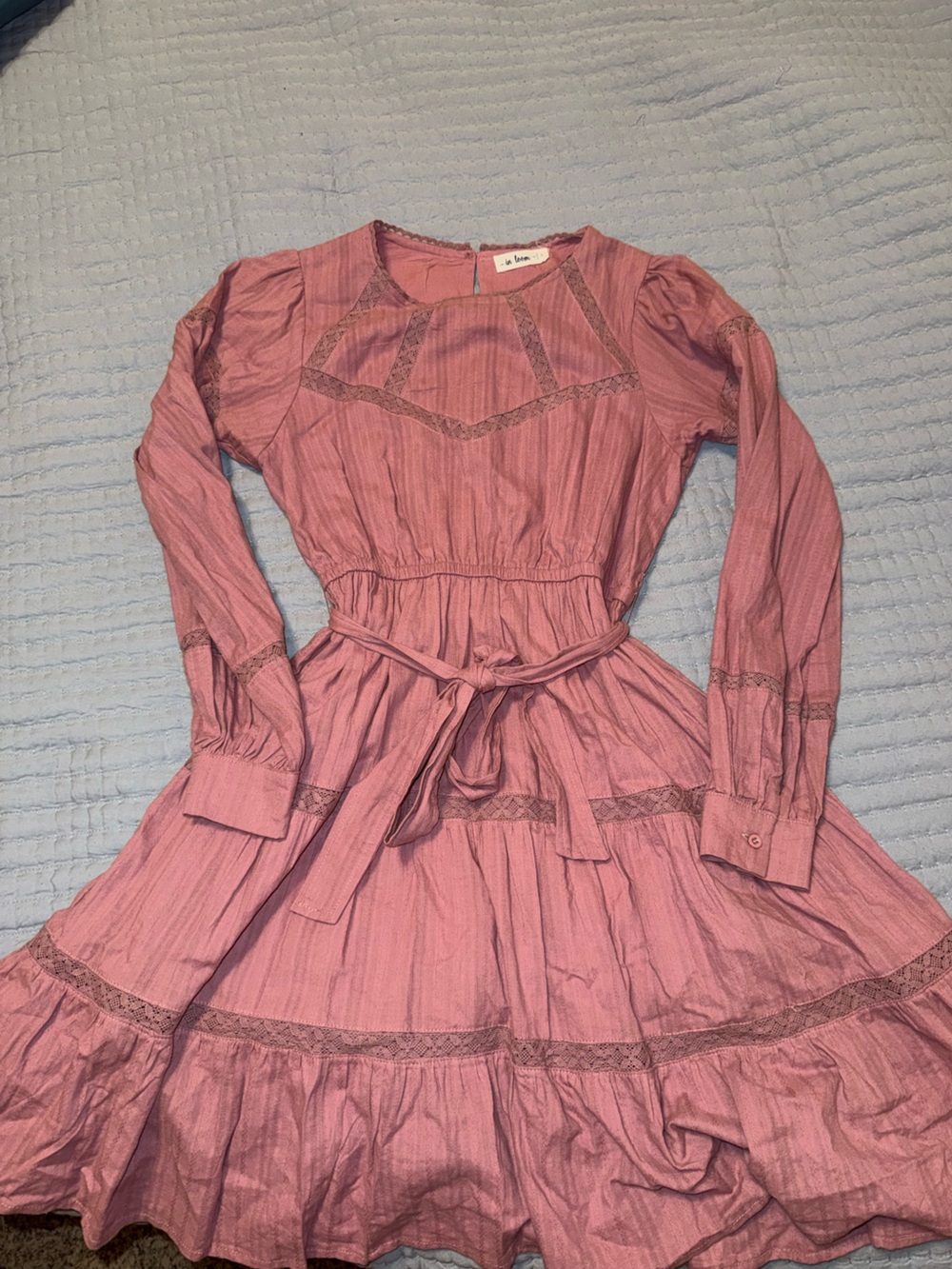 In Bloom Dusty Rose Lace-Panel Dress